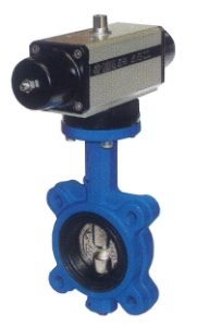 Lug Type Butterfly Valve Single Acting Pneumatically Actuated - EPDM Liner S385XE69